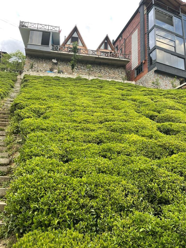 Purkinora Bungalov Camlihemsin Exterior photo